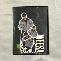 HiGH&LOW フレークシール PSYCHIC FEVER WEESA ③