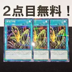 16487 遊戯王 捕食活動 ノーパラ 2点目無料 SUB1 捕食植物