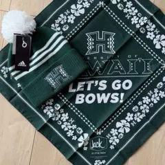 2点セット 希少 ハワイ大学 university of hawaii