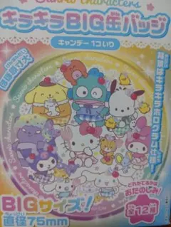 キラキラBIGバッジ　8番　おまけ付き