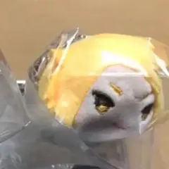 ヒロアカ もちマス 上鳴電気