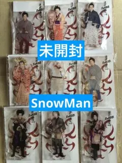 (レア)(未開封)(滝沢歌舞伎2022)SnowManアクリルスタンド9体セット