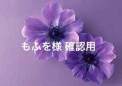 もふを様確認ページ