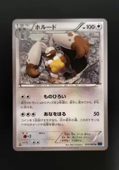 ホルード　XY 1EDのサムネイル