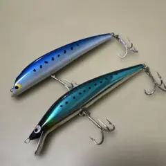 Item thumbnail for item 45e636e9-51bc-4f08-87d0-34eb7fde5bca