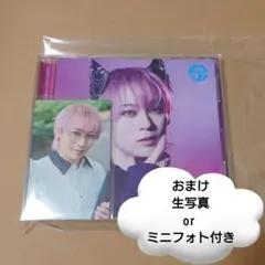 NINE LIVES シューヤ盤 1枚