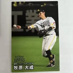 プロ野球チップス2025 ソフトバンクホークス 牧原大成