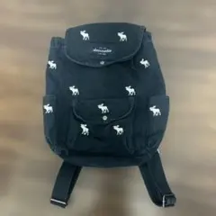【美品】Abercrombie アバクロ　リュック　ネイビー　キャンパス地