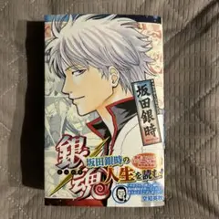 銀魂 キャラクターリミックス 坂田銀時