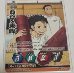 【希少】 ハイキュー バボカ カード プロモ 限定