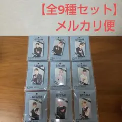 &TEAM　缶バッジ　全9種セット