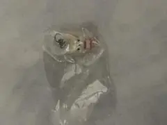 JOCHUM まめちい 豆原一成 目印チャーム