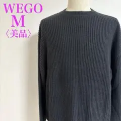 WEGO ウィゴー　ワッフルニットセーター クルーネック M 美品　秋冬