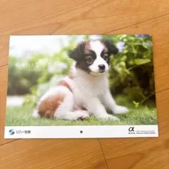 Item thumbnail for item e378c4b3-663f-40d6-a637-852ea918539e