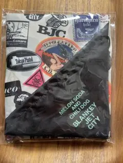 2026年最新】ブランキージェットシティグッズの人気アイテム - メルカリ