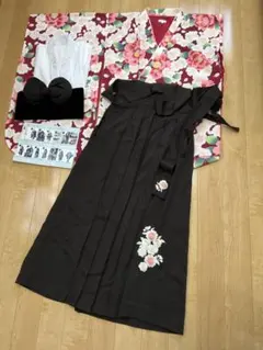 Item thumbnail for item 2c6297f1-1776-43e8-88fb-3bd1b68a76ff