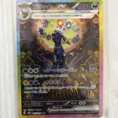 ブラッキーex SAR リーフィアex SAR ブースター マスターボール柄 ブラッキーex 217/187 SAR｜ポケカシングルカード通販｜Cloveストア