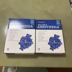 2026年最新】Anesthesiaの人気アイテム - メルカリ
