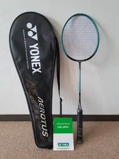 Item thumbnail for item 4b45d072-615a-48ad-a0cc-9303d7e52473