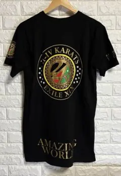 24karats EXILE AMAZING WORLD Tシャツ サイズM