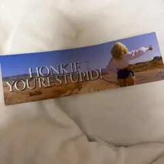 sabrina carpenter 公式　ステッカー