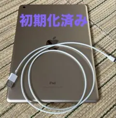 iPad 第5世代 動作確認済み 初期化済み Wi-Fiモデル