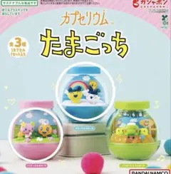 カプセリウム　たまごっち（まめっち&みみっち、ふらわっち&めめっち）