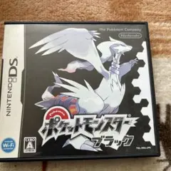 【美品・ケース・説明書付き】 ポケットモンスター ブラック
