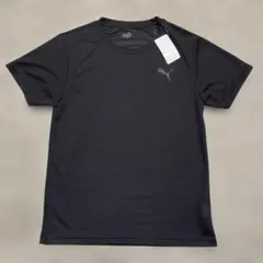 Puma 黒 ショートスリーブ Tシャツ 新品 M