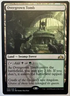 草むした墓/Overgrown Tomb 英語一枚