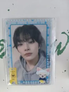 スキズ サウナオンラインくじ E賞 アイエン フォトスリーブセット