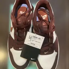 Nike SB ウィメンズ アリウープ CQ0369-601のサムネイル