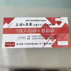 2026年最新】岩原スキー場の人気アイテム - メルカリ