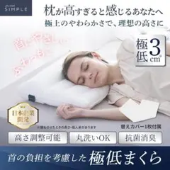 載せると極低3cm！枕がいらない人のための枕 6㎝と7㎝のリバーシブル