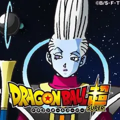 tomoさん専用 フロスト