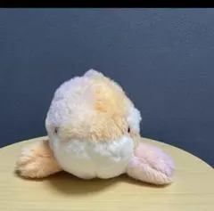 2026年最新】名古屋港水族館 シャチ ぬいぐるみの人気アイテム - メルカリ