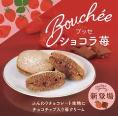 文明堂　ブッセ　ショコラ苺　6個