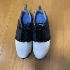 Item thumbnail for item fc808c85-fd17-4738-823b-7b9856a05d25