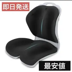 新品 姿勢矯正用クッション 腰の神様がくれた特等席 チェア 腰痛 学習