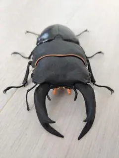 Item thumbnail for item 06850eab-1ea9-4643-8cd1-7b98bb2c79e3