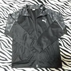 Item thumbnail for item 198d1879-c46e-44b6-9499-6cf9b45c3e12