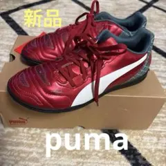 Puma エヴオパワー４.2グラフィック 　トレーニングシューズJr.２４センチ