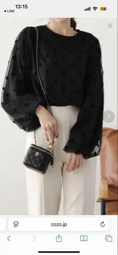 ドット　シースルー　チュール　カットソー　ラジエム　バルーンスリーブ