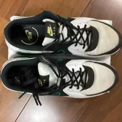 Nike Air Max スニーカー US 11