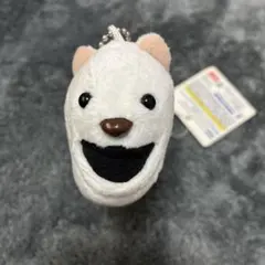 シャクレルプラネット シャクレルアライグマ マスコット
