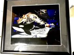 Item thumbnail for item b70a8ca3-bf80-42f5-b9c5-cddde6ece653