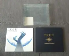 CHAGE&ASKA TREE CD アルバム チャゲ&飛鳥