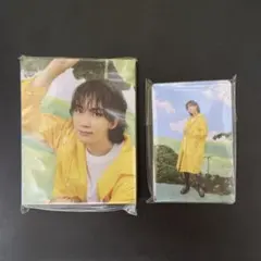 SEVENTEEN ジョンハン heaven Carat盤 トレカ バインダー