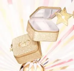 Dior アクセサリーケース ジュエリーボックス