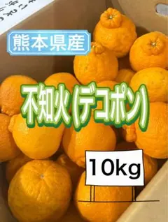 不知火(デコポン)熊本県産10kgのサムネイル